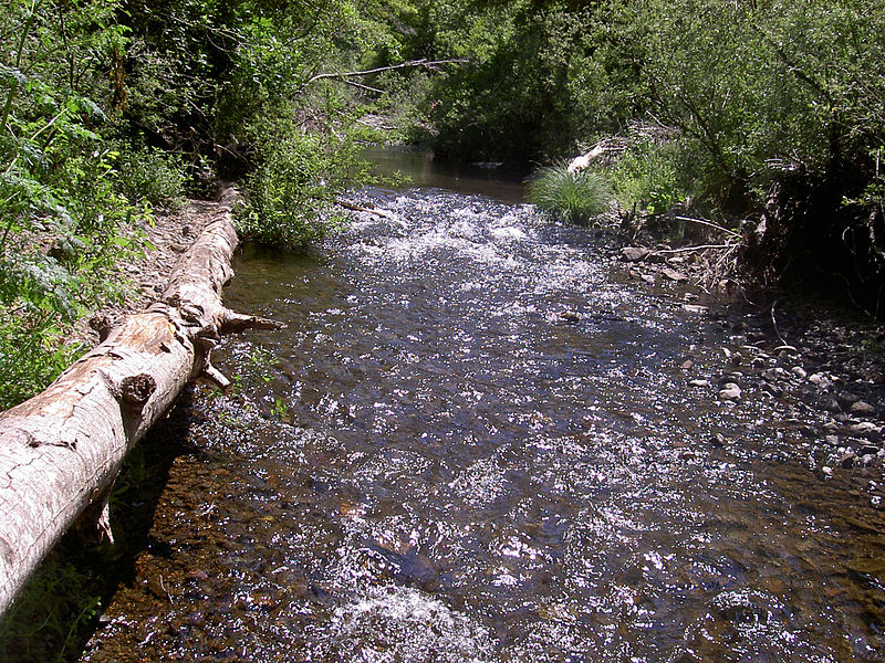 Landowners in the San Geronimo Valley Receive Financial Help from Salmon Restorationists