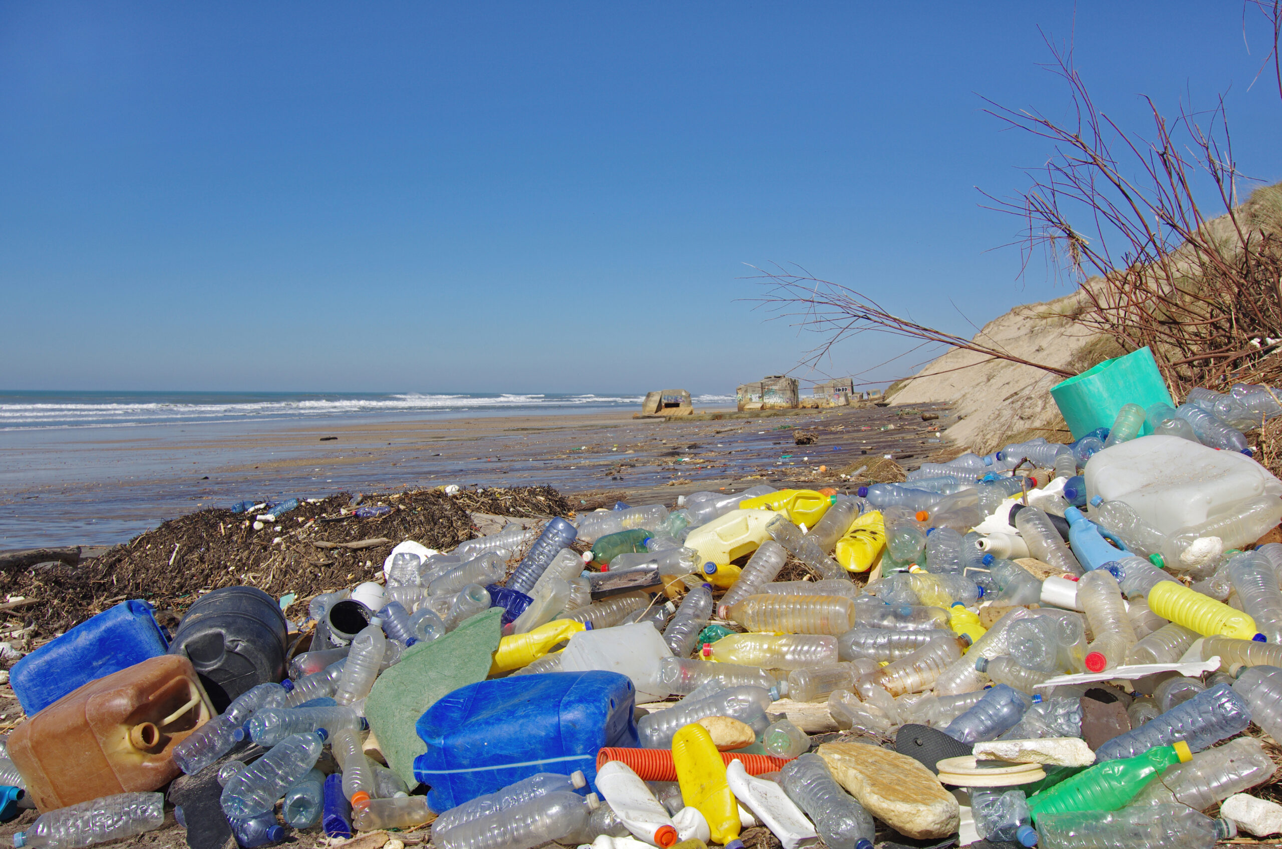 Teachers Demonstrate Human Impact on the Environment Through Plastics