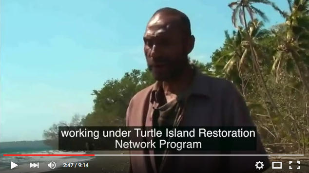 From Protecting Sea Turtles to Fighting Climate Change and Industrial Fishing