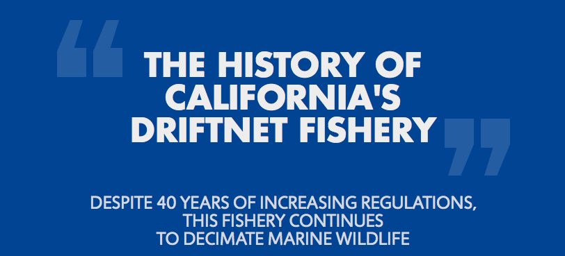 Infograph: The History of the California Driftnet Fishery