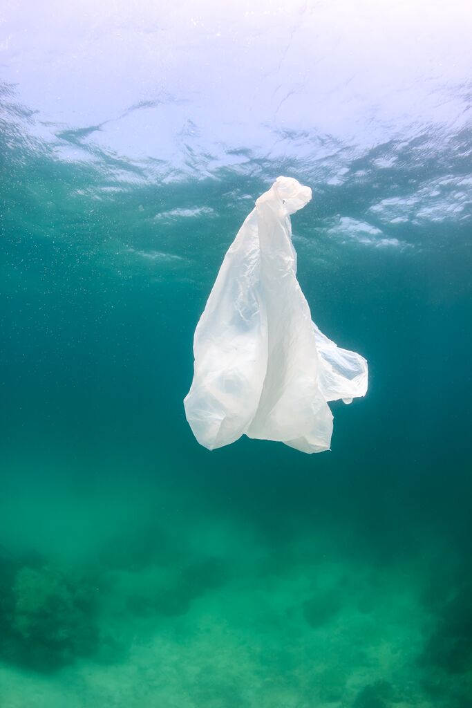 San Diego 150th City to Ban Plastic Bags! Turtle