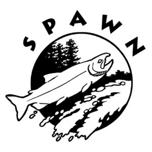 spawn logo old school