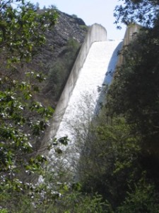 dam flow 320x240