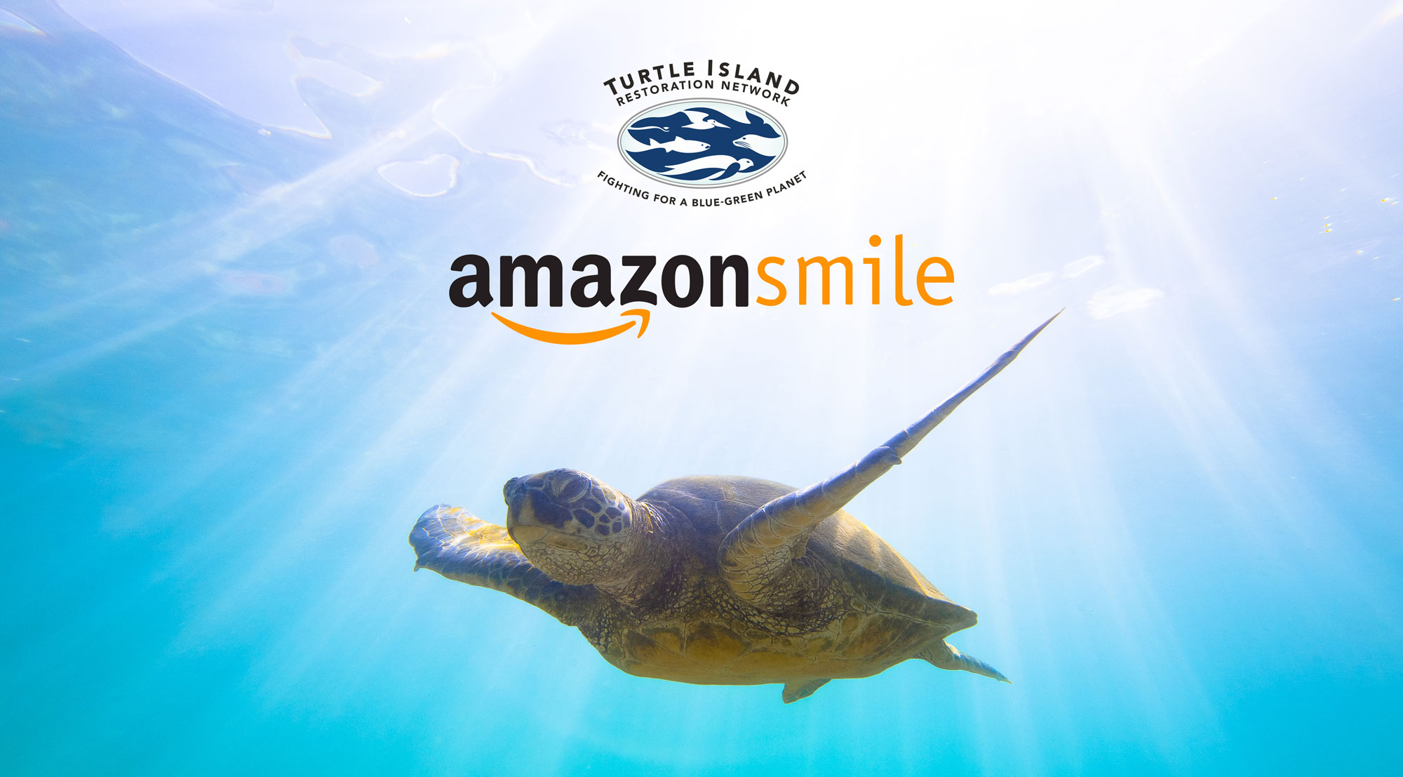 Shop Online. Save Sea Turtles.