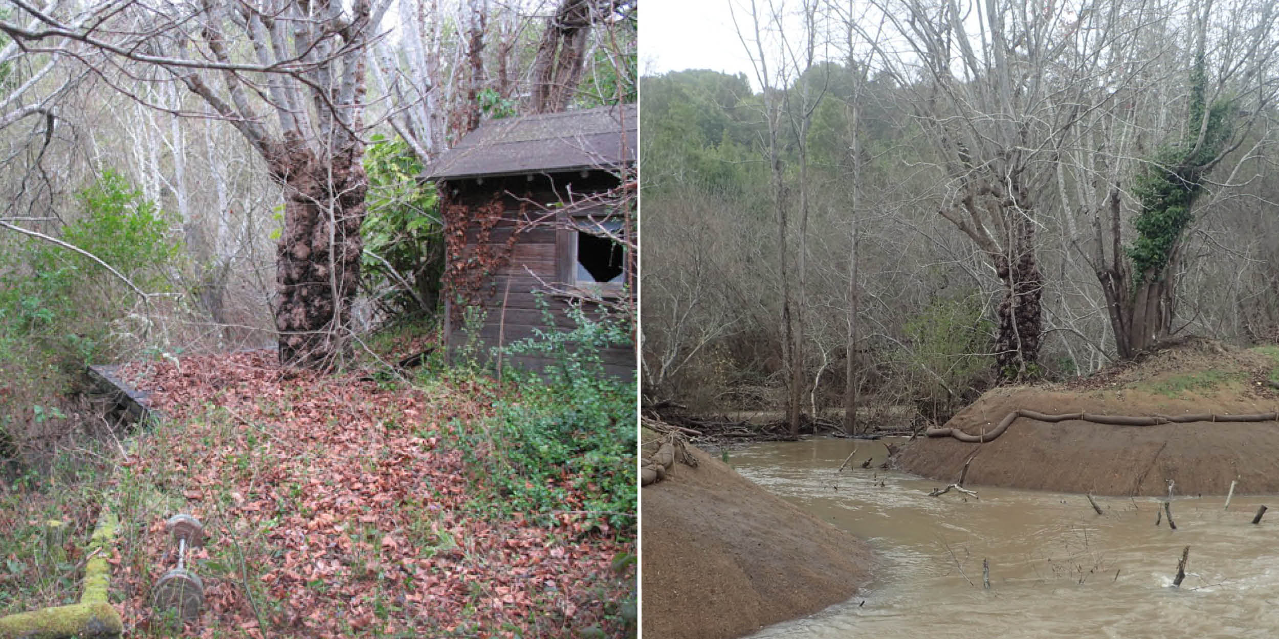 Before-and-After Photos Show Impressive Progress of Lagunitas Creek Restoration