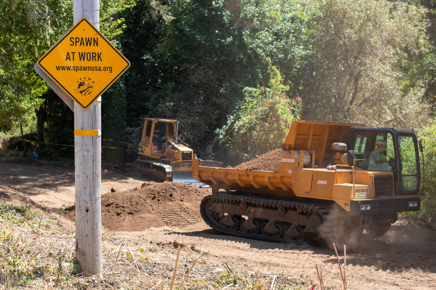 Slow Down to Glimpse Ecological Restoration on Sir Francis Drake Boulevard
