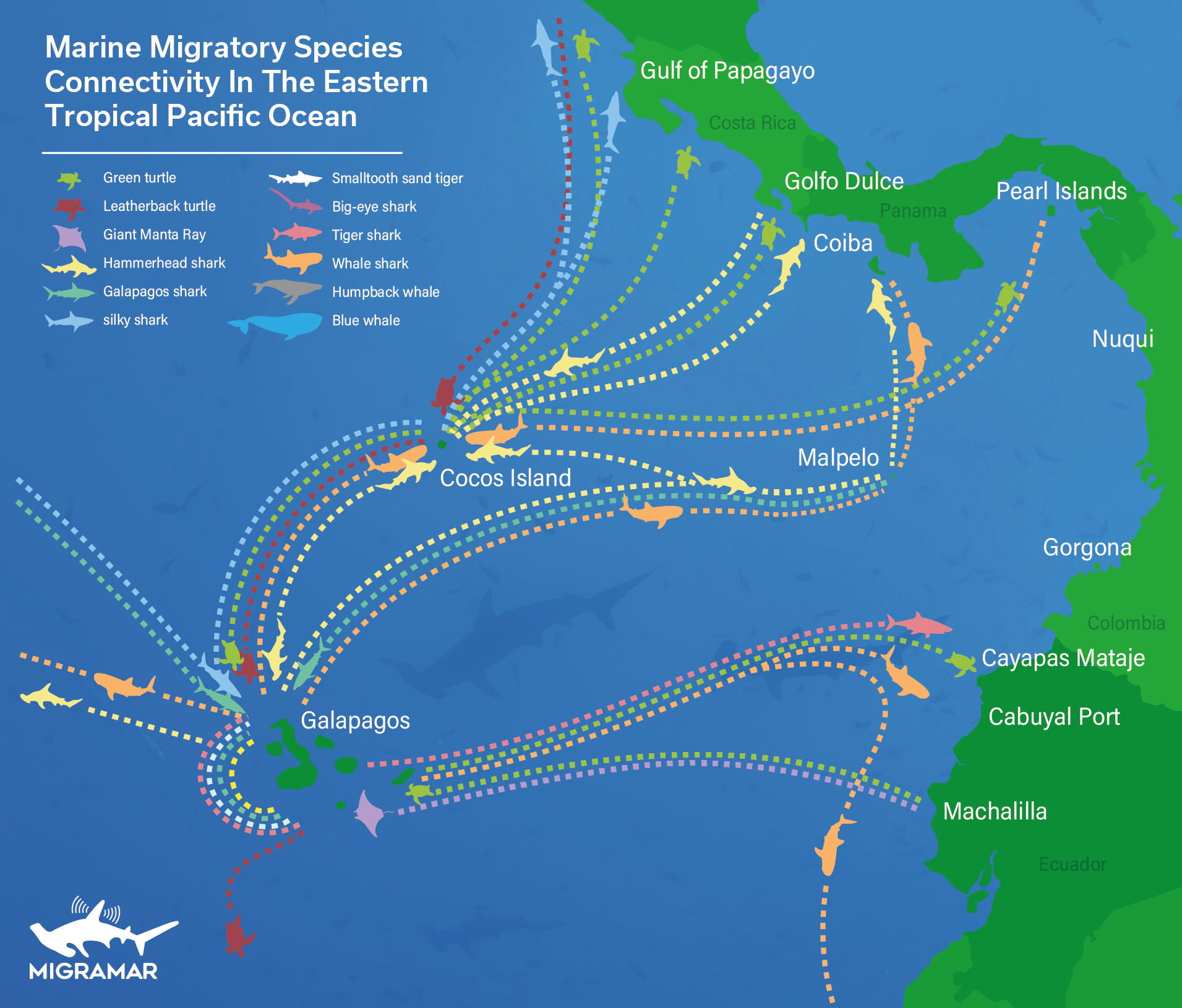 Environmental Groups Urge Costa Rica and Ecuador to Create World’s First Bilateral Marine Protected Area