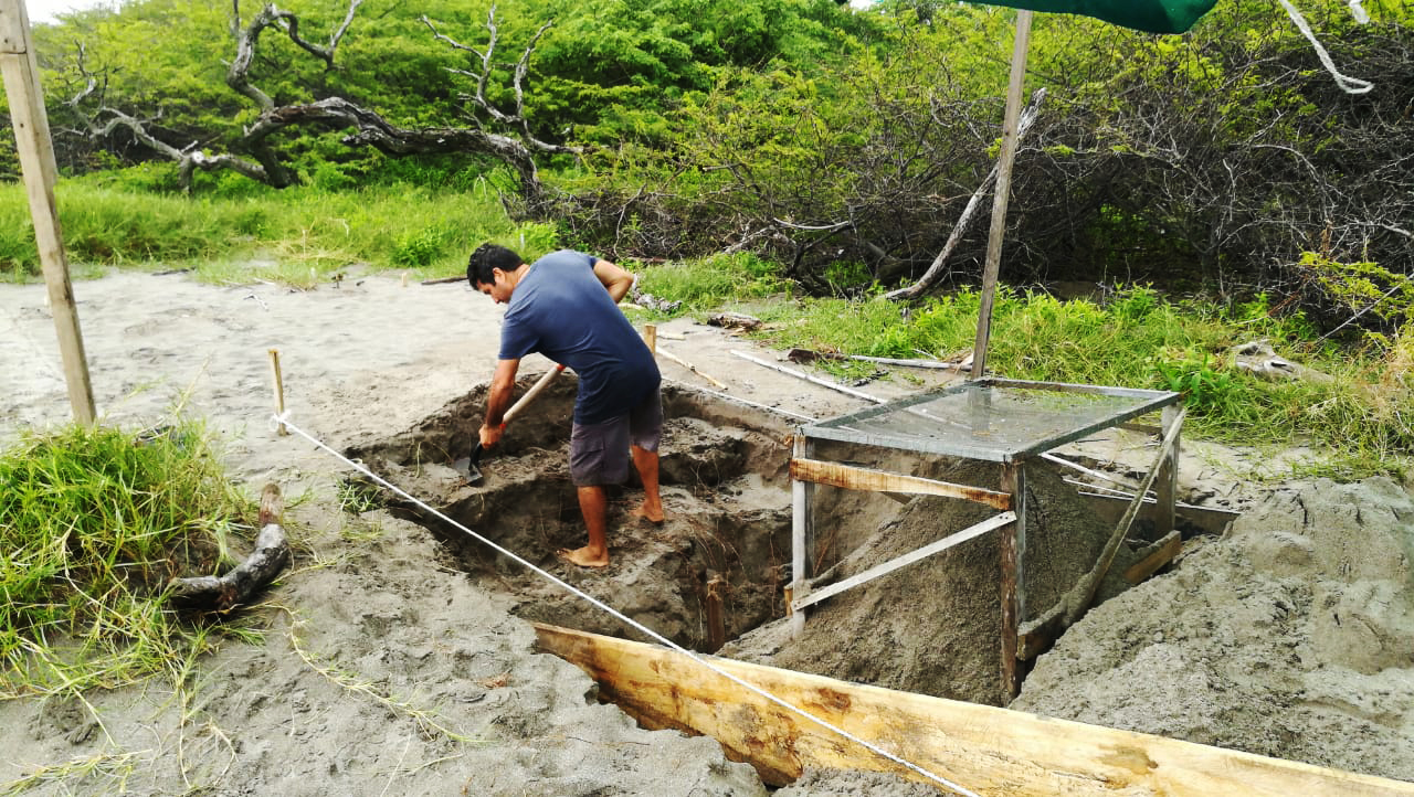 TIRN Helps Build Leatherback Hatchery in Costa Rica