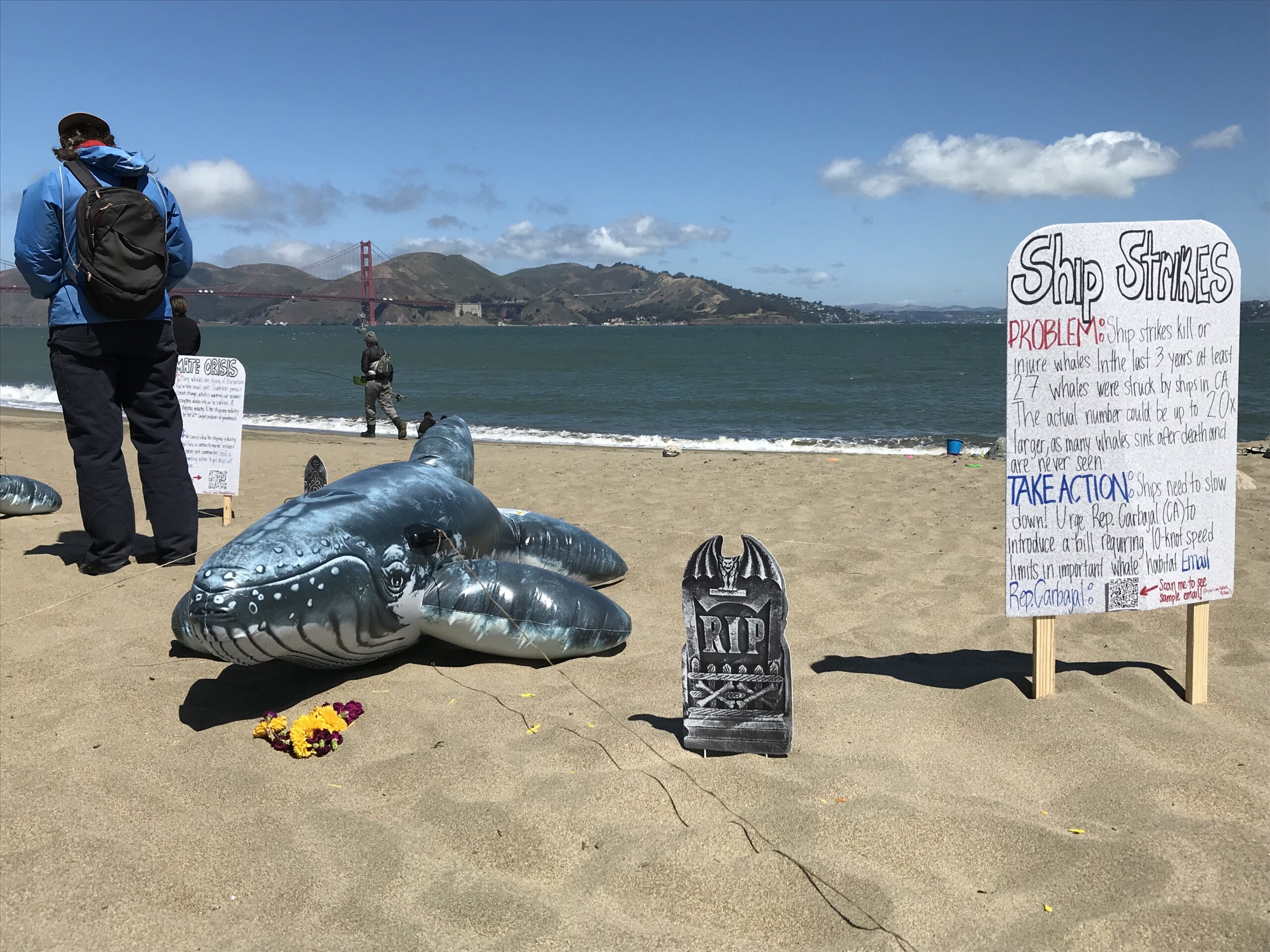 ‘A Wake for the Whales’ Marks Bay Area Deaths, Calls for New Protections