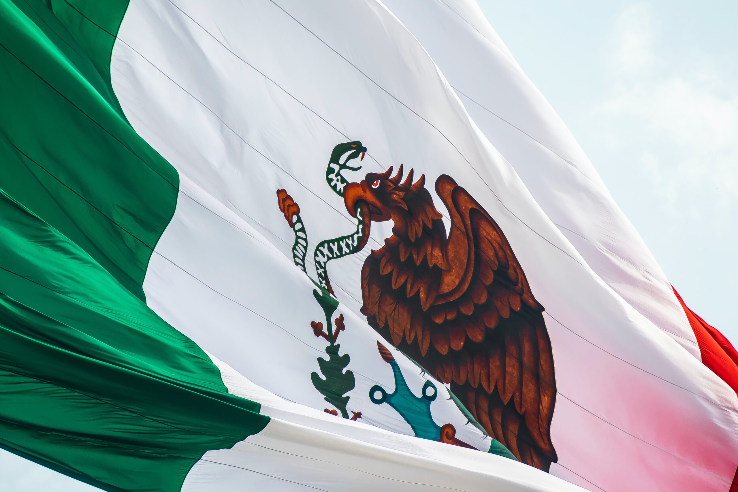 Mexico Sets Legal Precedent For Environmental Assessment