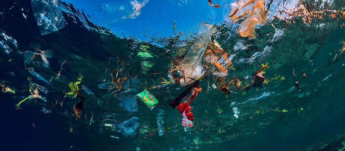 Plastic Free July: An Individual Impact and A Collective Hope