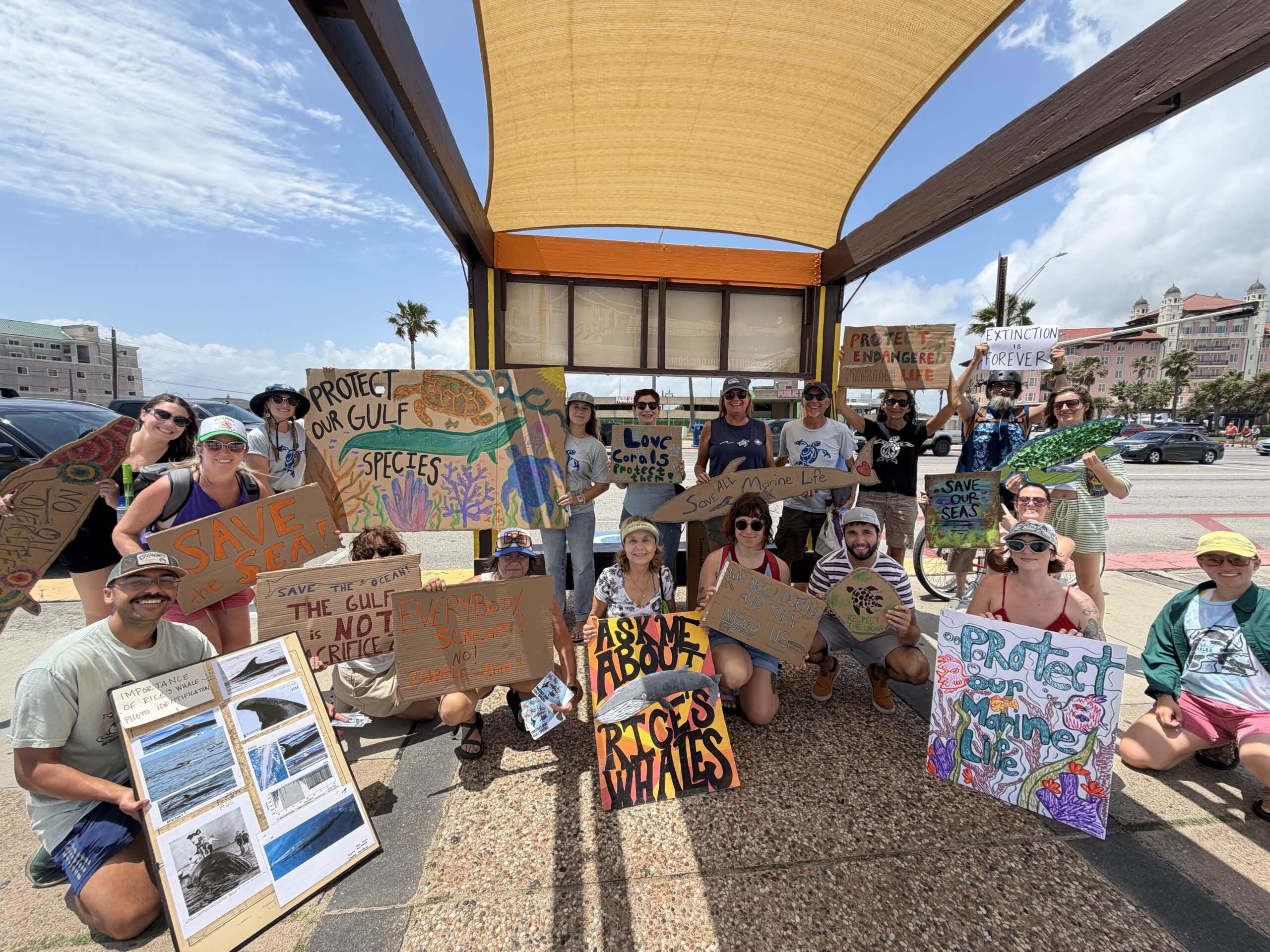 Gulf Coast Communities Rally in Galveston to Defend the Endangered Species Act | Press Release