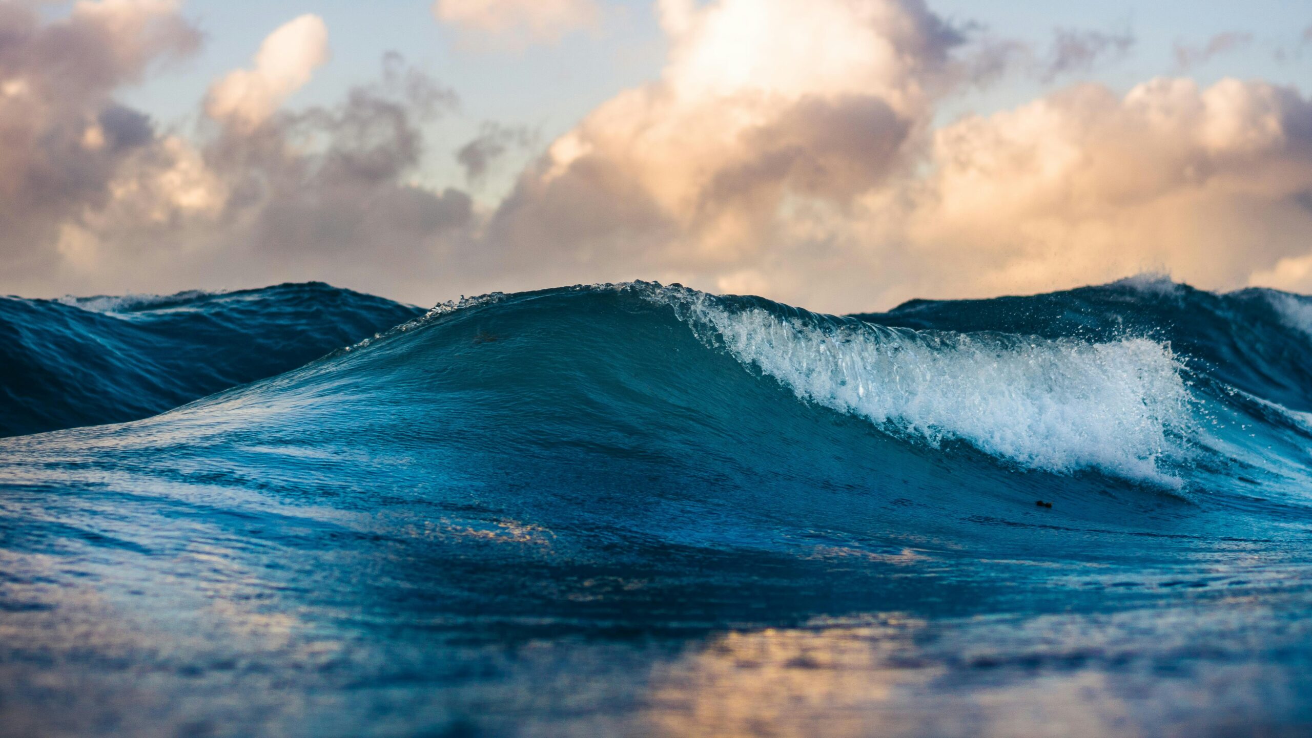 Create A Waves of Impact and Legacy for Make a Will Month
